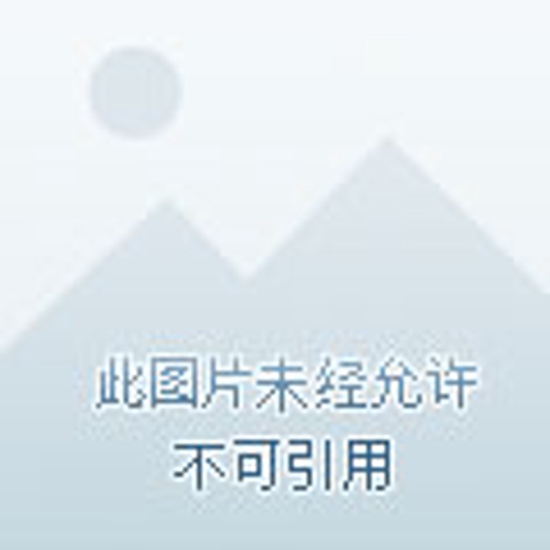 安联网:构建万物互联的安全屏障